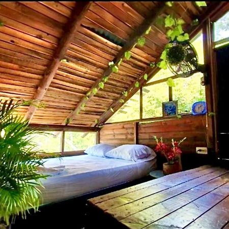 Tamarindo Beach Hostel Таганга Екстериор снимка