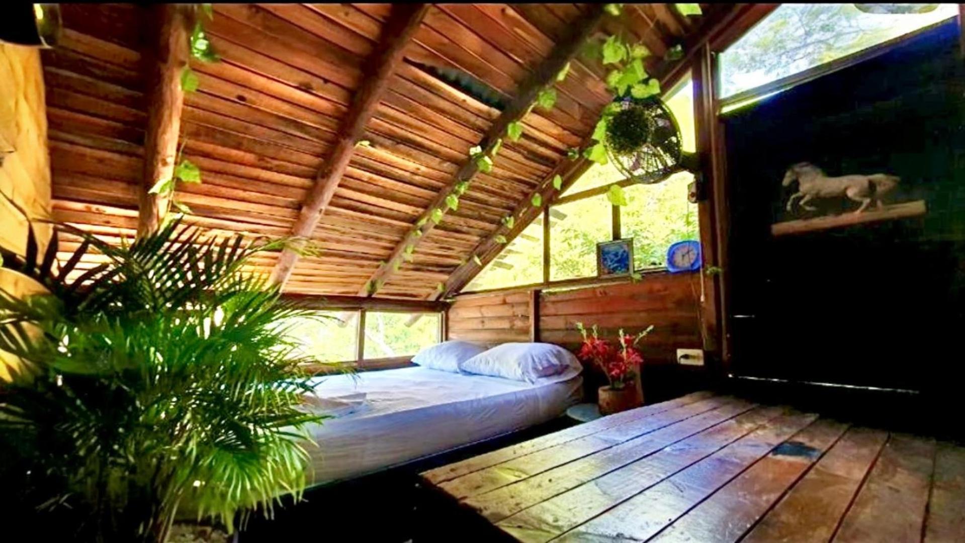 Tamarindo Beach Hostel Таганга Екстериор снимка