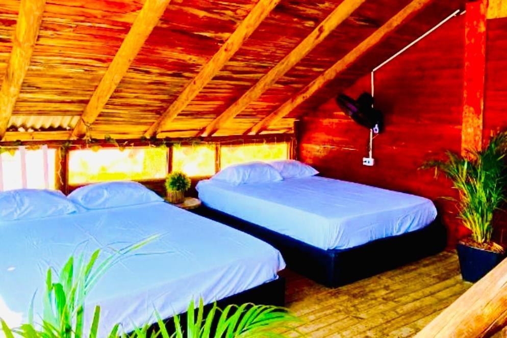 Tamarindo Beach Hostel Таганга Екстериор снимка