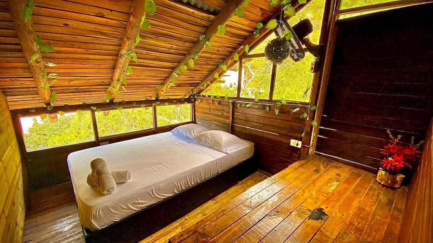 Tamarindo Beach Hostel Таганга Екстериор снимка